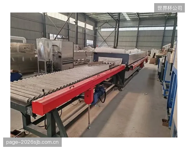 当自动化系统出现误判，责任应该由设备供应商、赛会还是车队来承担？